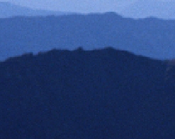 1233.JPG
